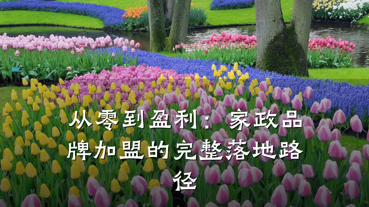 从零到盈利:家政品牌加盟的完整落地路径