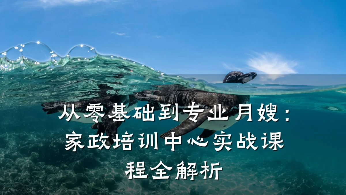 从零基础到专业月嫂:家政培训中心实战课程全解析