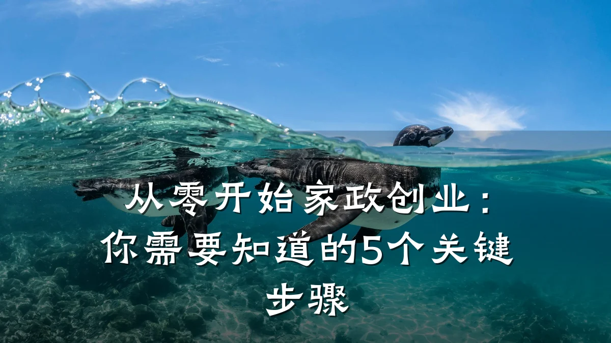 从零开始家政创业:你需要知道的5个关键步骤