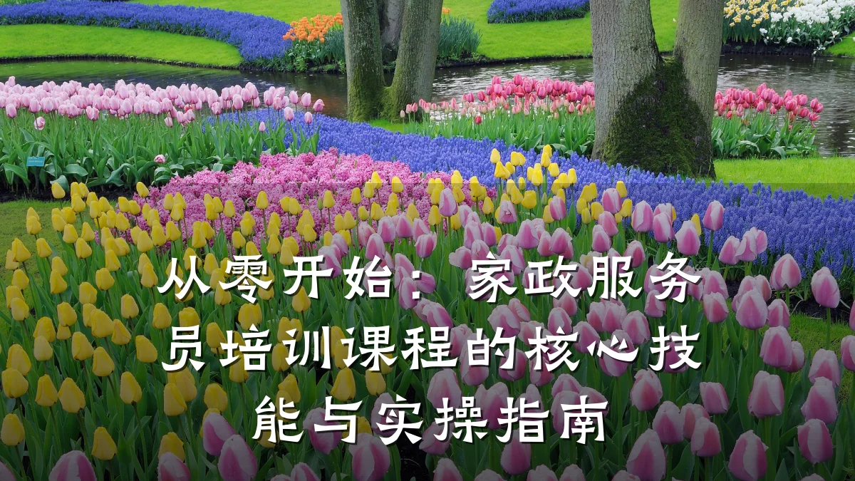 从零开始:家政服务员培训课程的核心技能与实操指南