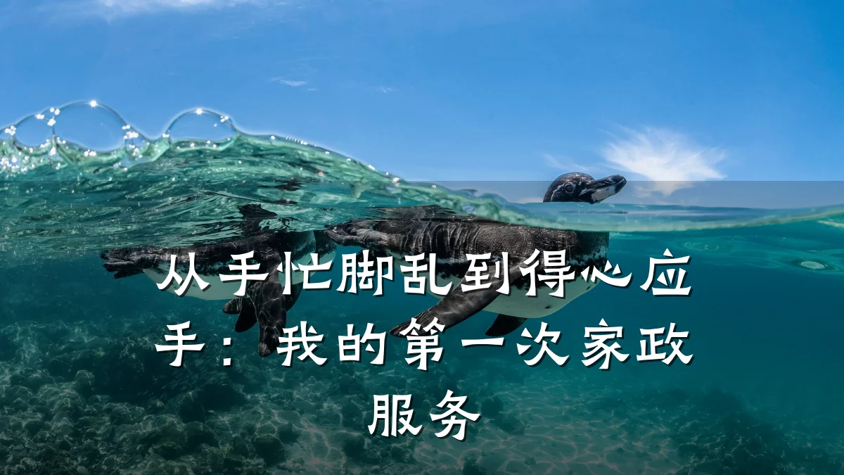 从手忙脚乱到得心应手:我的第一次家政服务