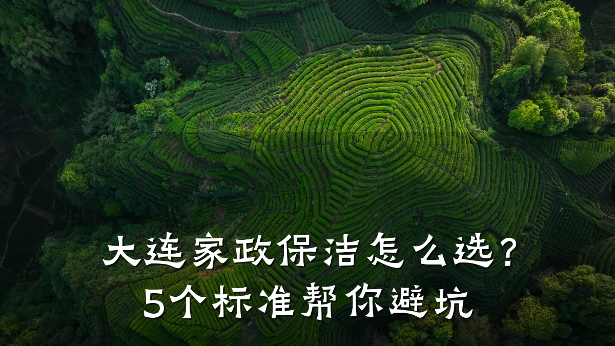 大连家政保洁怎么选?5个标准帮你避坑