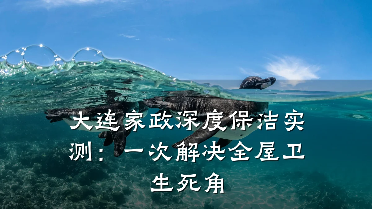 大连家政深度保洁实测:一次解决全屋卫生死角