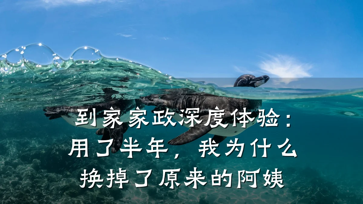 到家家政深度体验：用了半年，我为什么换掉了原来的阿姨