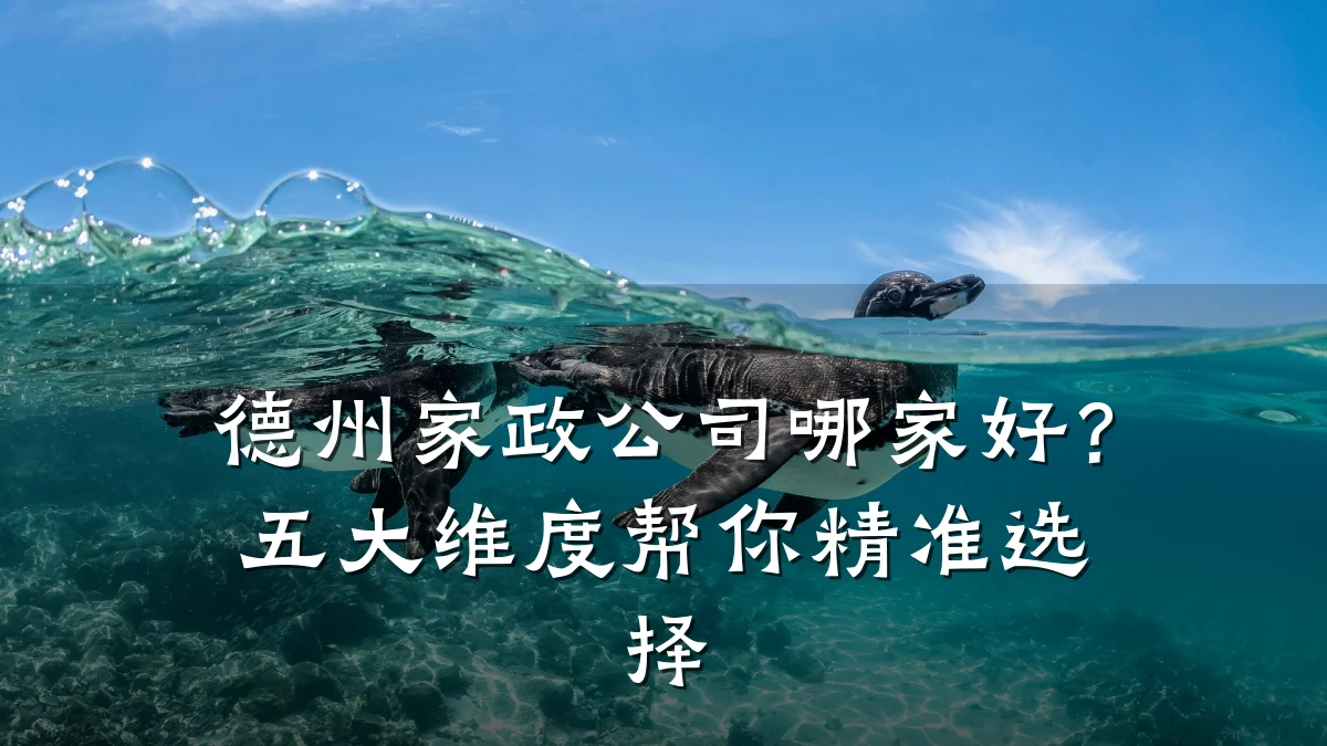 德州家政公司哪家好？五大维度帮你精准选择