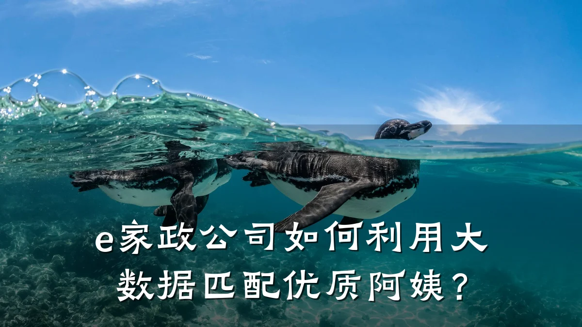 e家政公司如何利用大数据匹配优质阿姨？