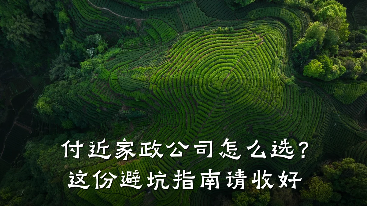 付近家政公司怎么选？这份避坑指南请收好