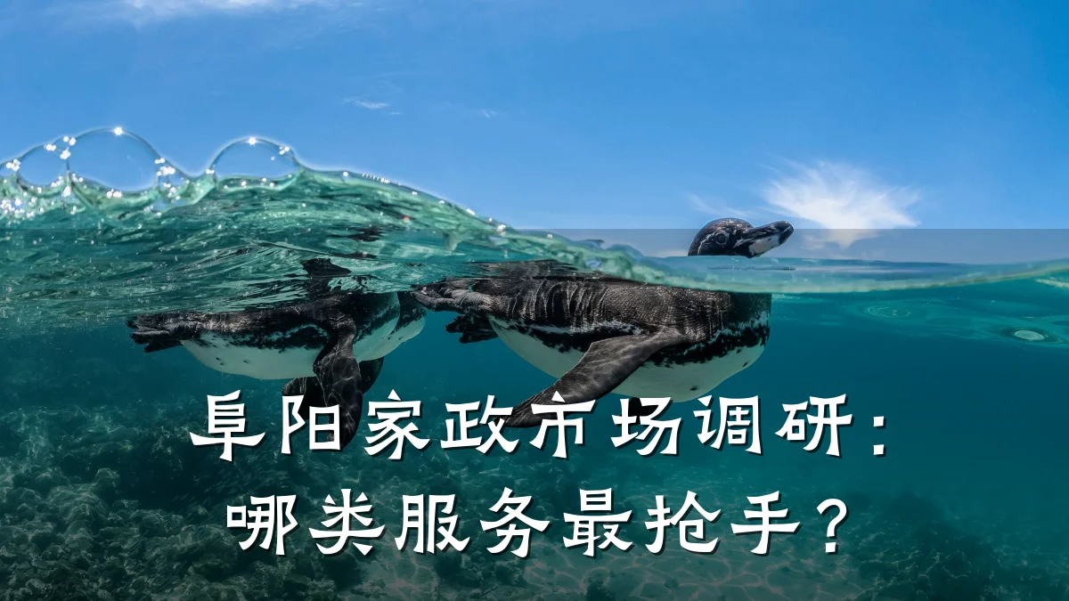 阜阳家政市场调研:哪类服务最抢手?