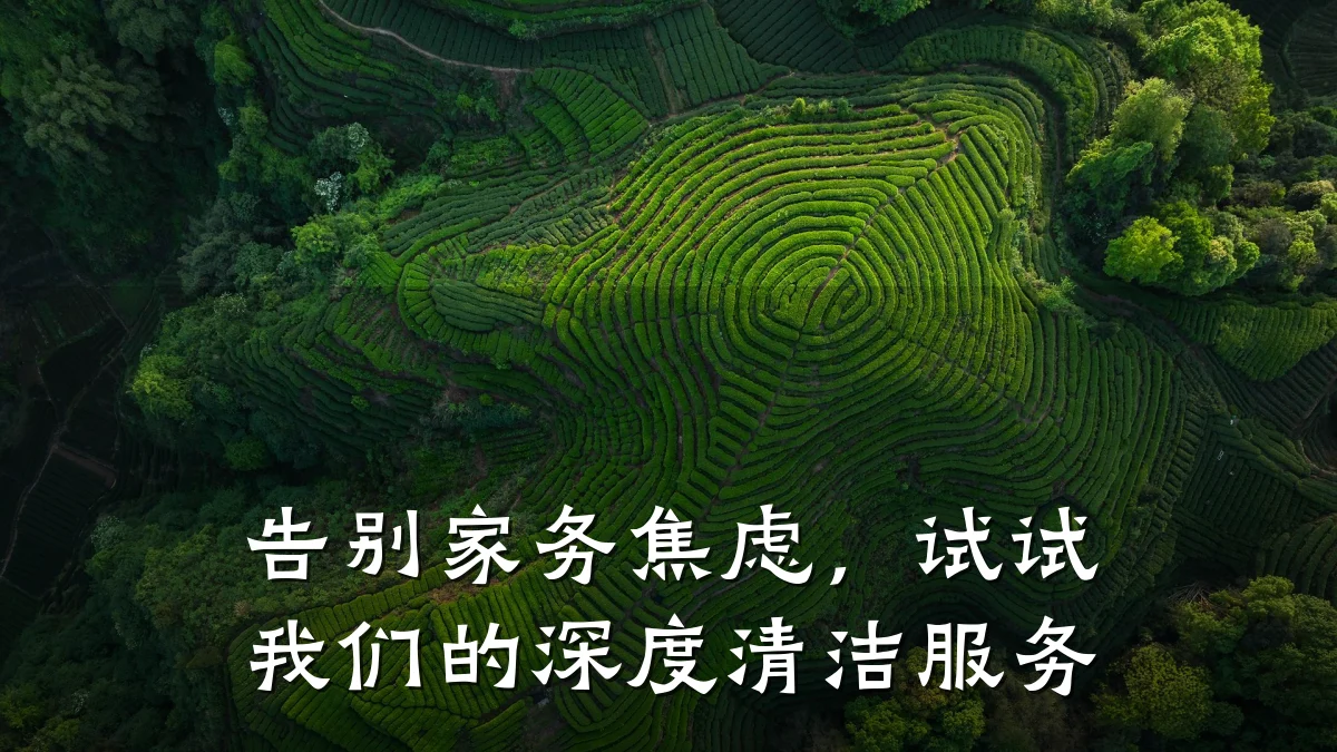 告别家务焦虑,试试我们的深度清洁服务
