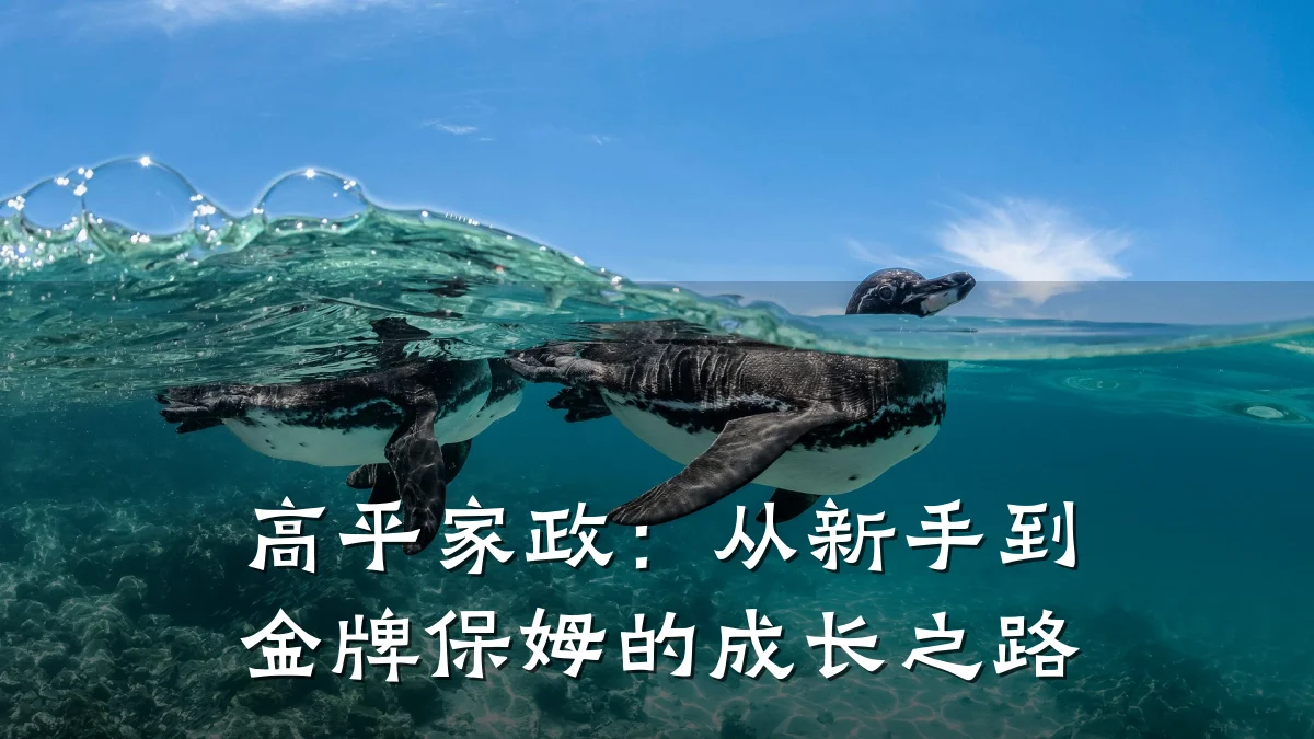 高平家政：从新手到金牌保姆的成长之路