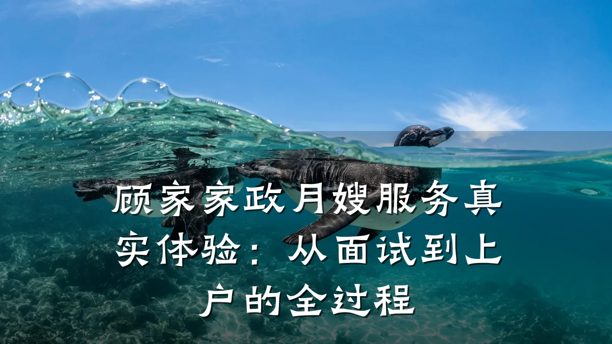 顾家家政月嫂服务真实体验:从面试到上户的全过程