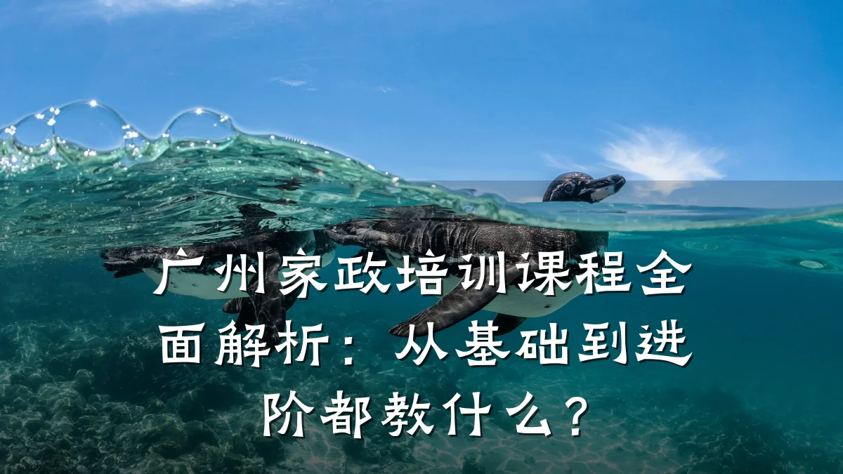 广州家政培训课程全面解析:从基础到进阶都教什么?