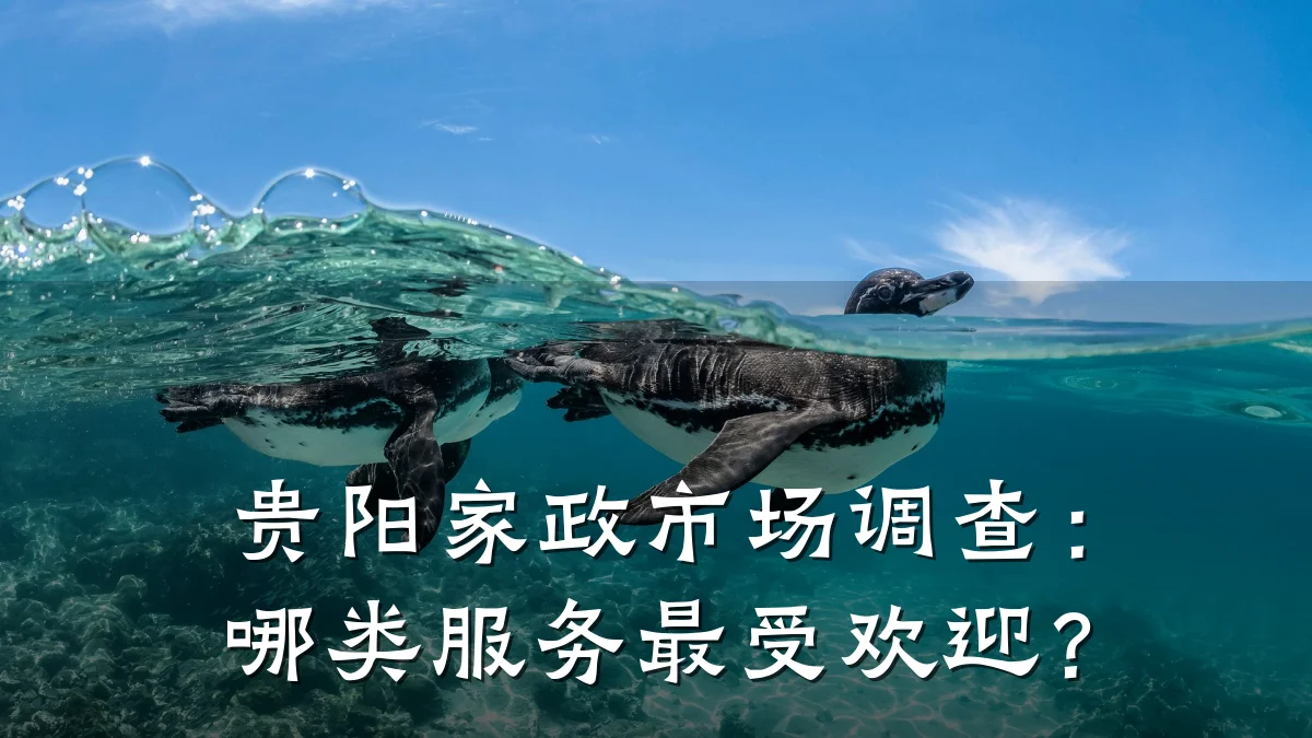 贵阳家政市场调查:哪类服务最受欢迎?