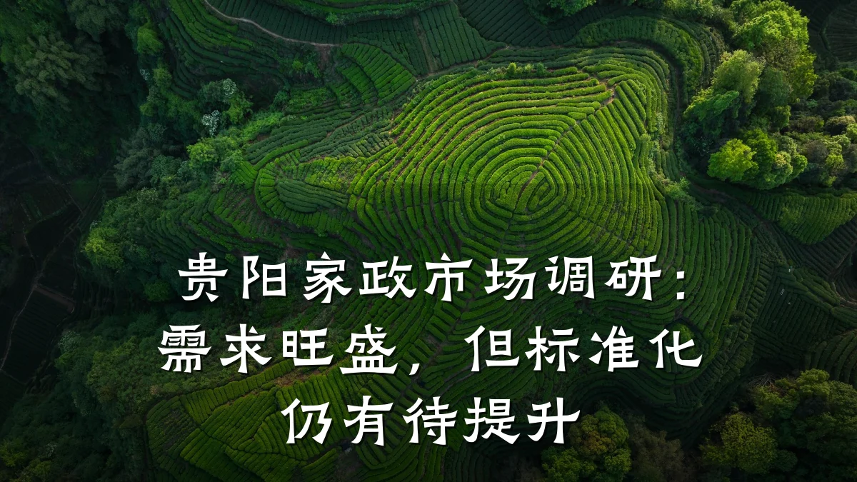 贵阳家政市场调研:需求旺盛,但标准化仍有待提升