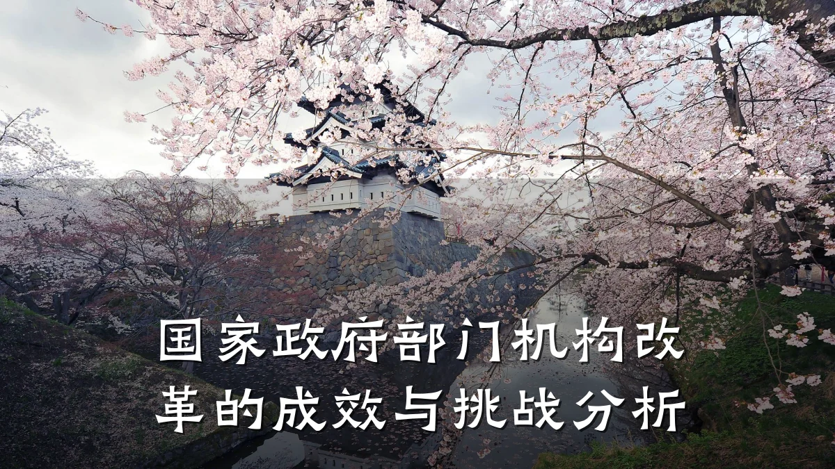 国家政府部门机构改革的成效与挑战分析