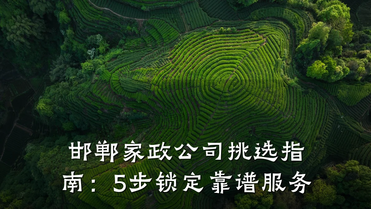 邯郸家政公司挑选指南：5步锁定靠谱服务