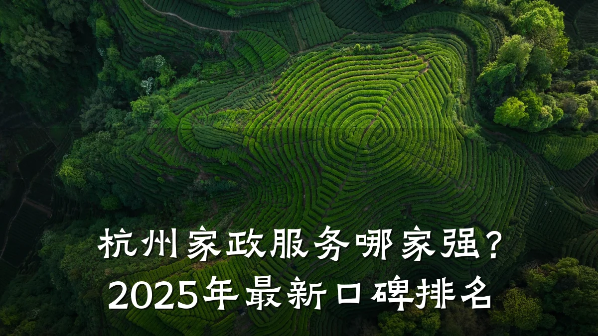 杭州家政服务哪家强？2025年最新口碑排名