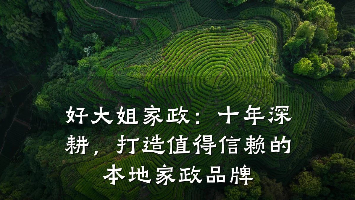 好大姐家政:十年深耕,打造值得信赖的本地家政品牌