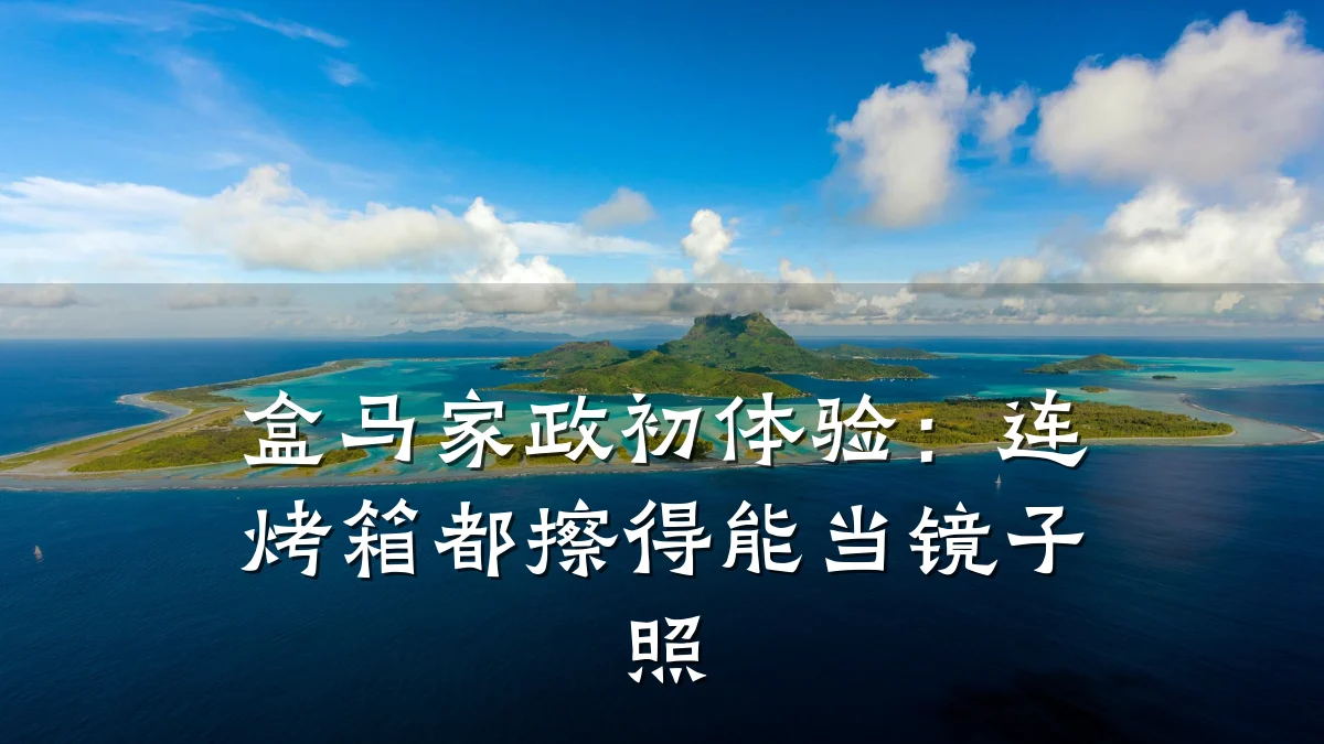 盒马家政初体验:连烤箱都擦得能当镜子照