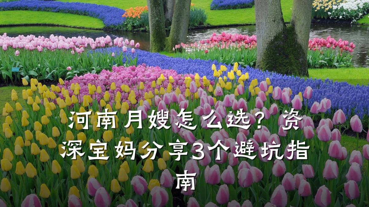 河南月嫂怎么选？资深宝妈分享3个避坑指南