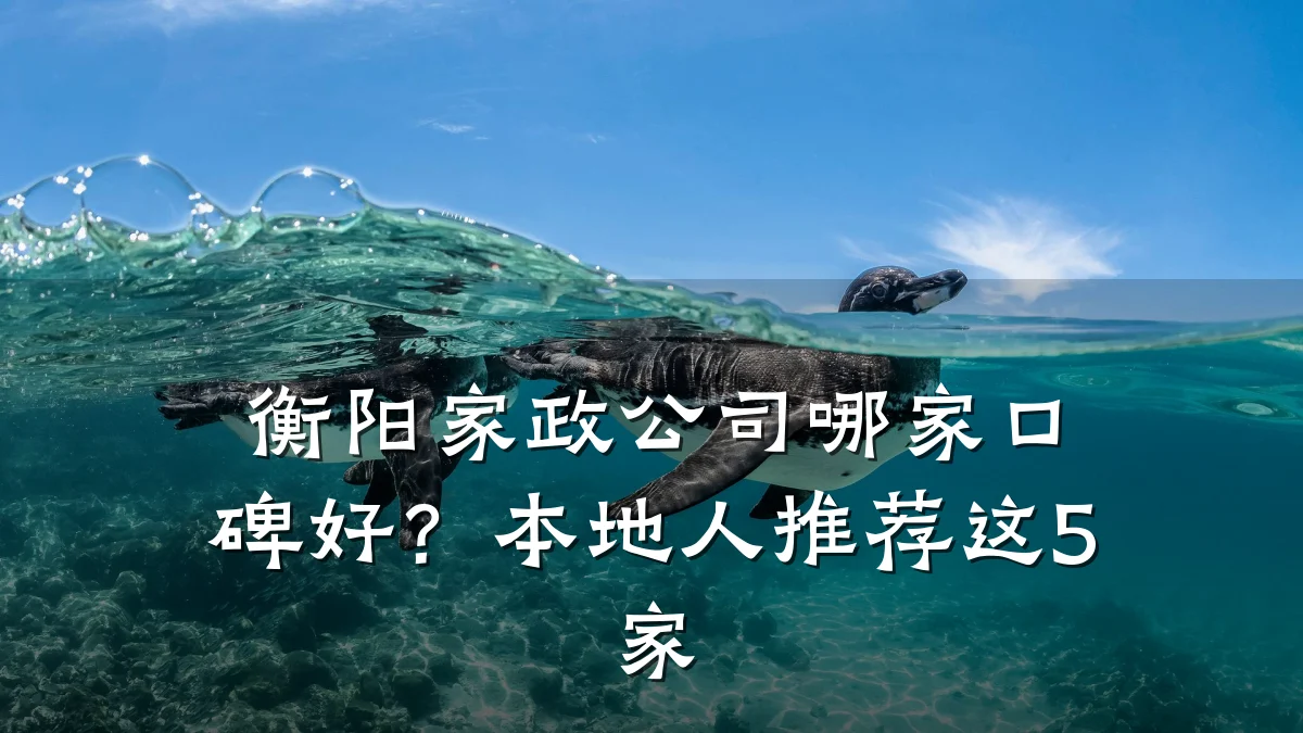 衡阳家政公司哪家口碑好？本地人推荐这5家