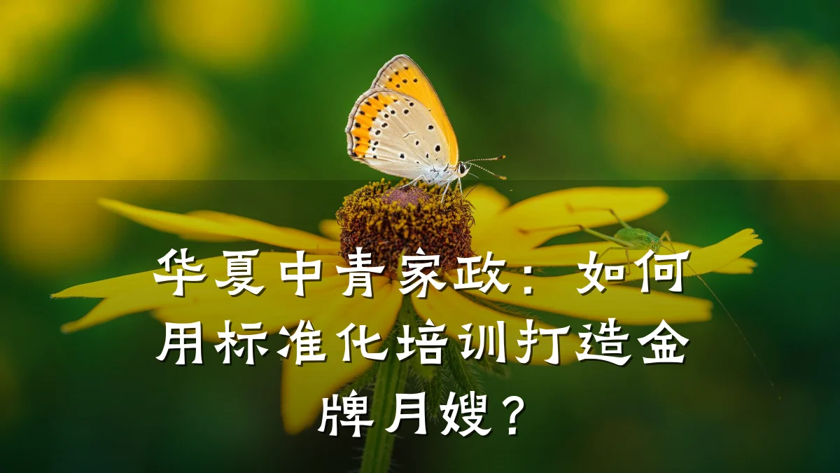 华夏中青家政:如何用标准化培训打造金牌月嫂?