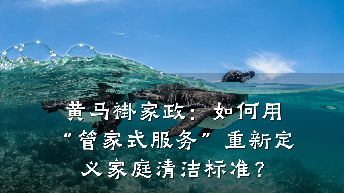 黄马褂家政:如何用“管家式服务”重新定义家庭清洁标准?