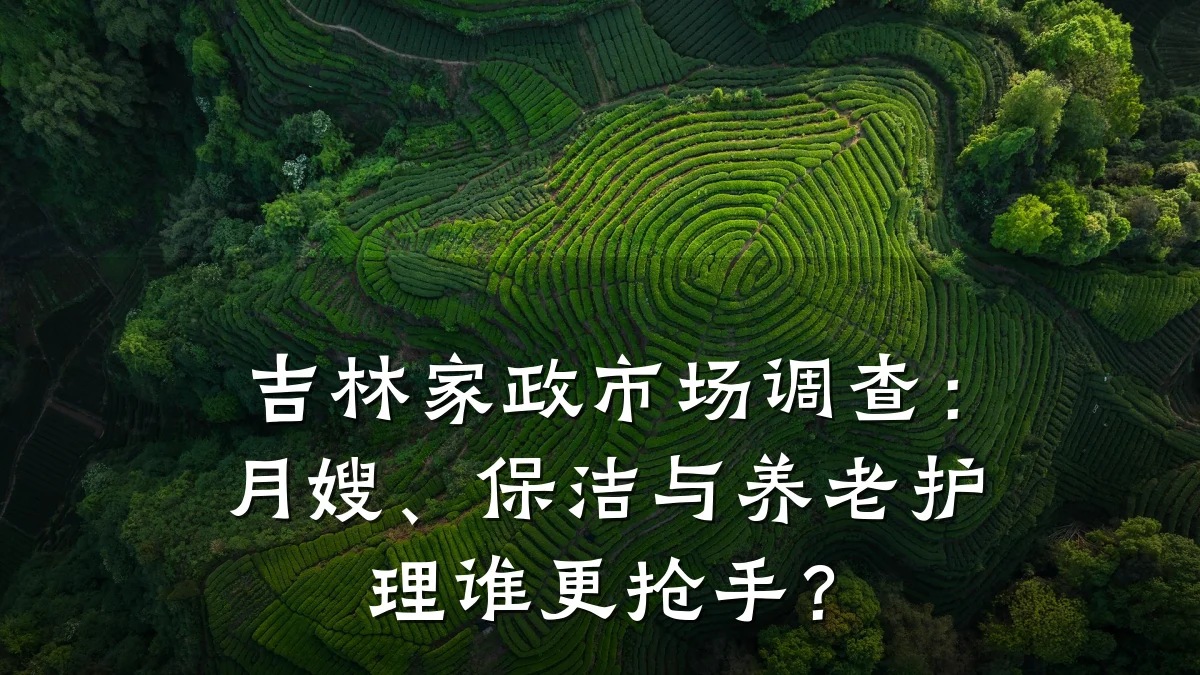 吉林家政市场调查：月嫂、保洁与养老护理谁更抢手？
