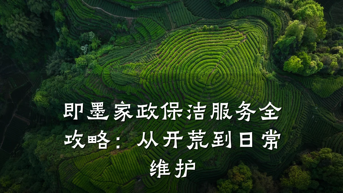即墨家政保洁服务全攻略：从开荒到日常维护