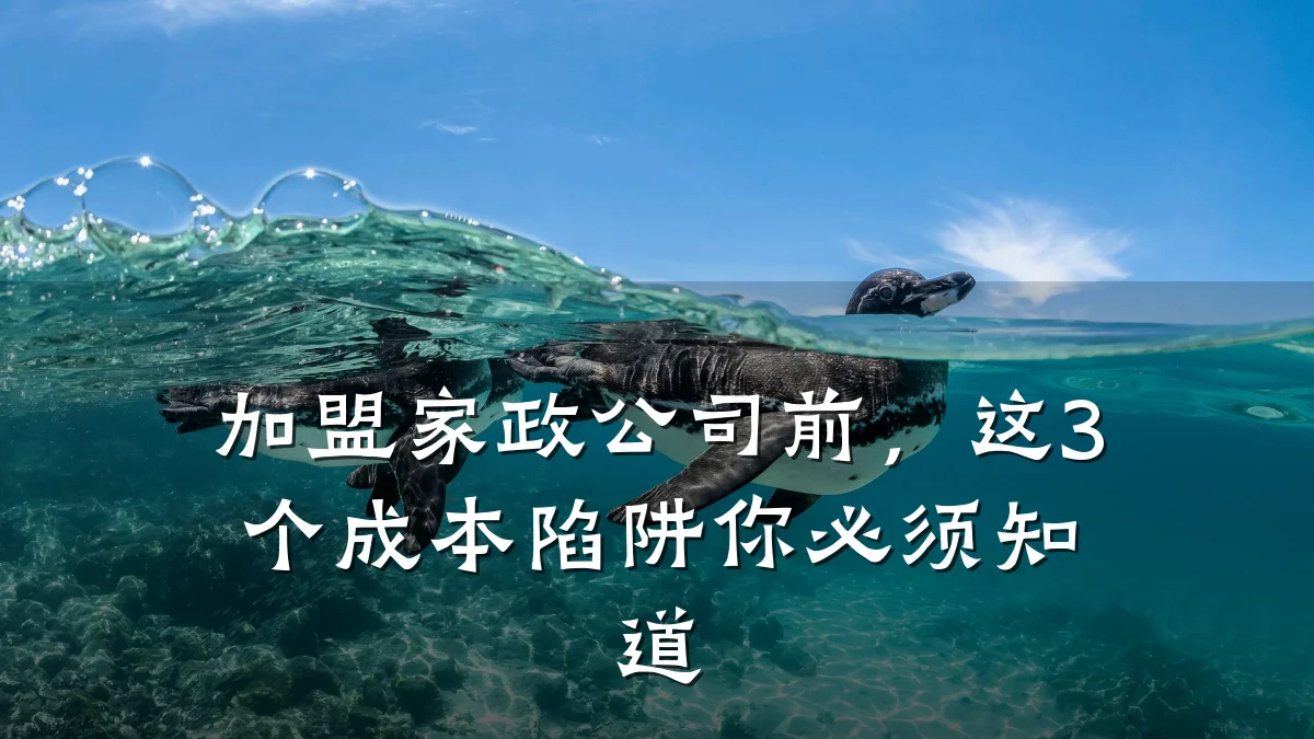 加盟家政公司前,这3个成本陷阱你必须知道