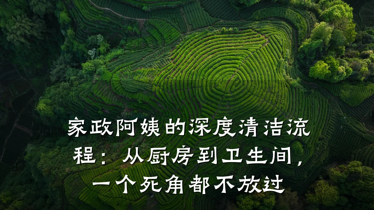 家政阿姨的深度清洁流程:从厨房到卫生间,一个死角都不放过