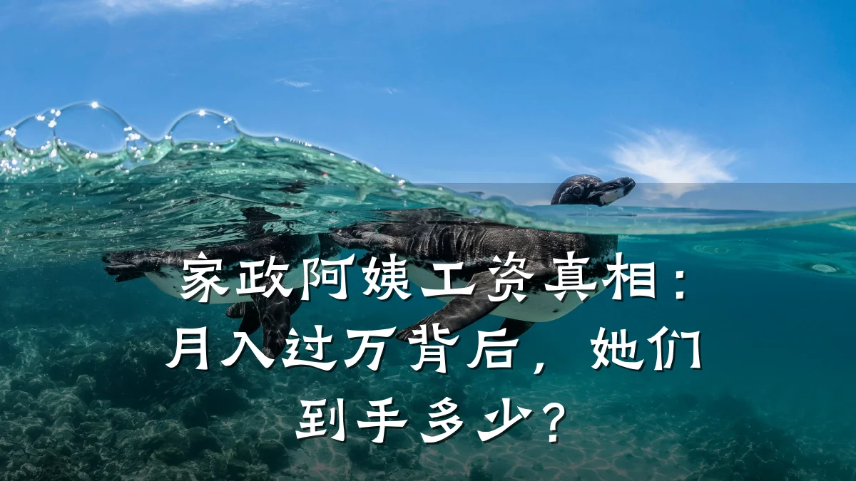 家政阿姨工资真相:月入过万背后,她们到手多少?