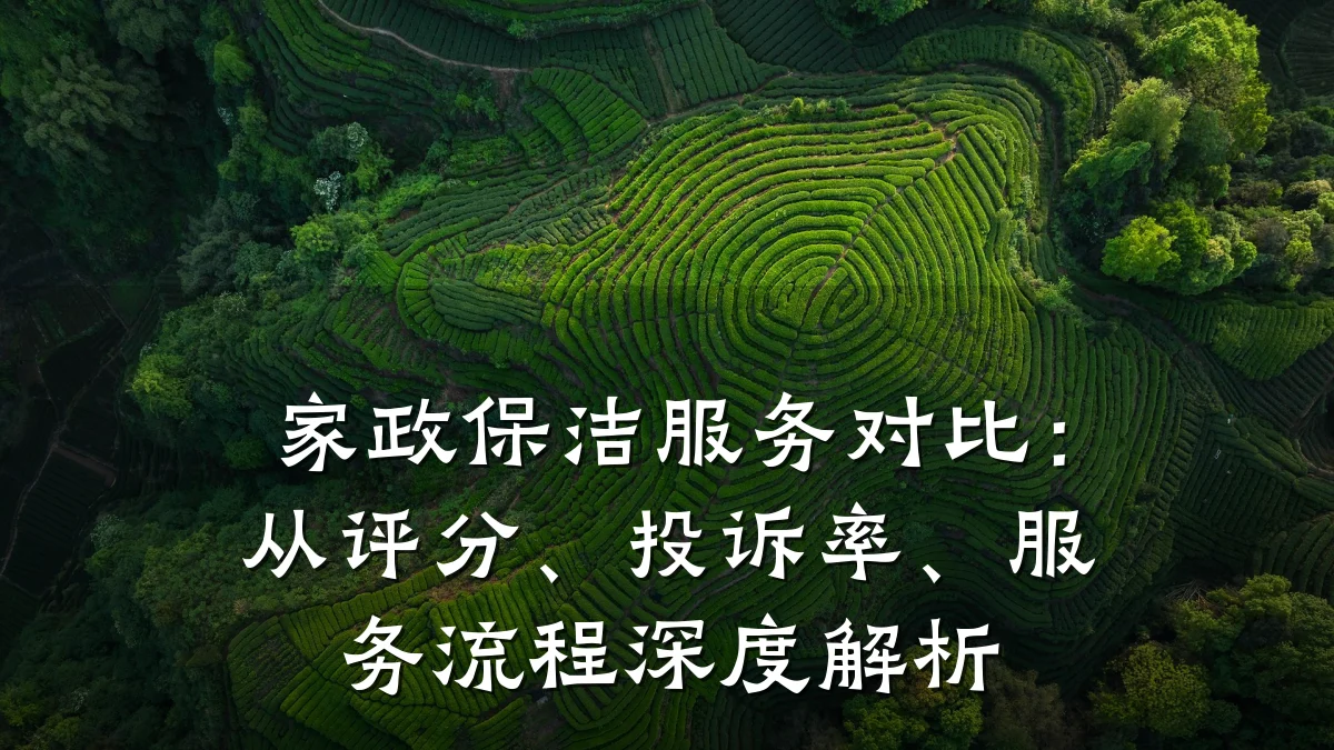家政保洁服务对比：从评分、投诉率、服务流程深度解析
