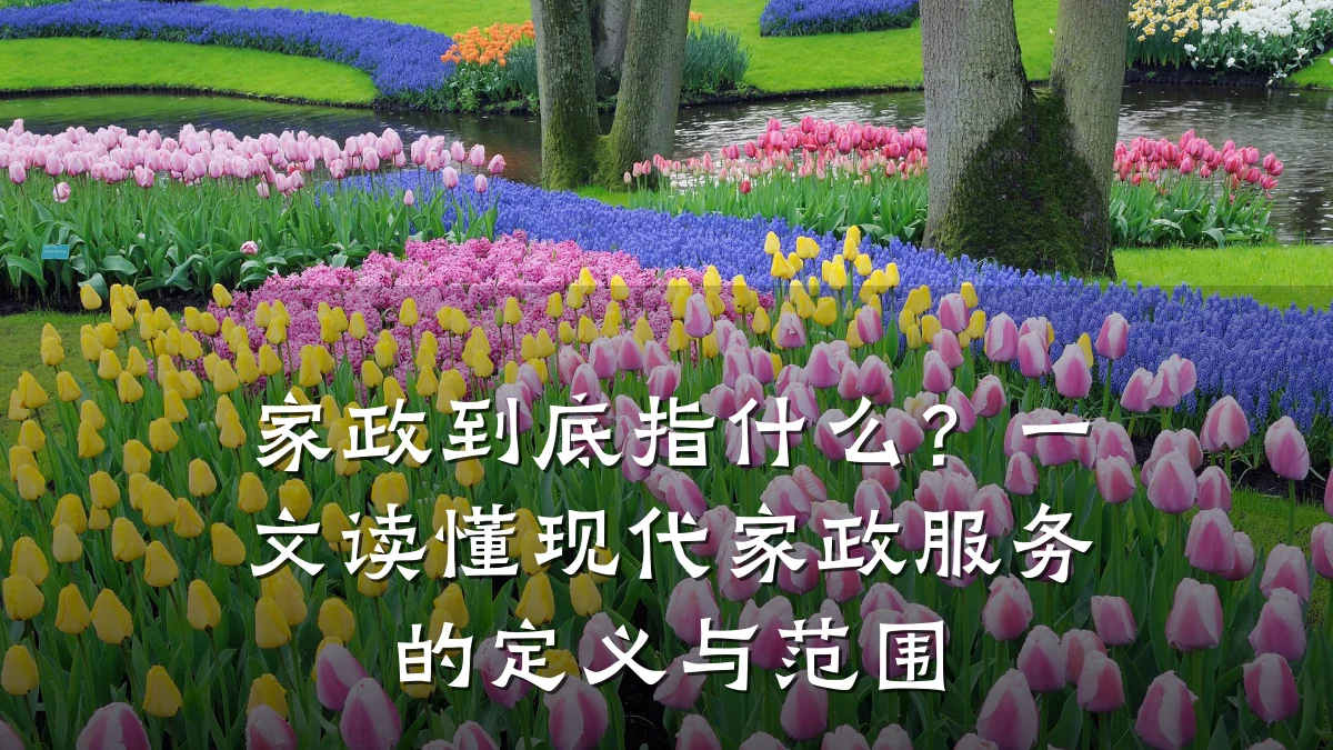 家政到底指什么?一文读懂现代家政服务的定义与范围