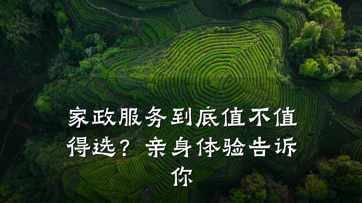 家政服务到底值不值得选？亲身体验告诉你