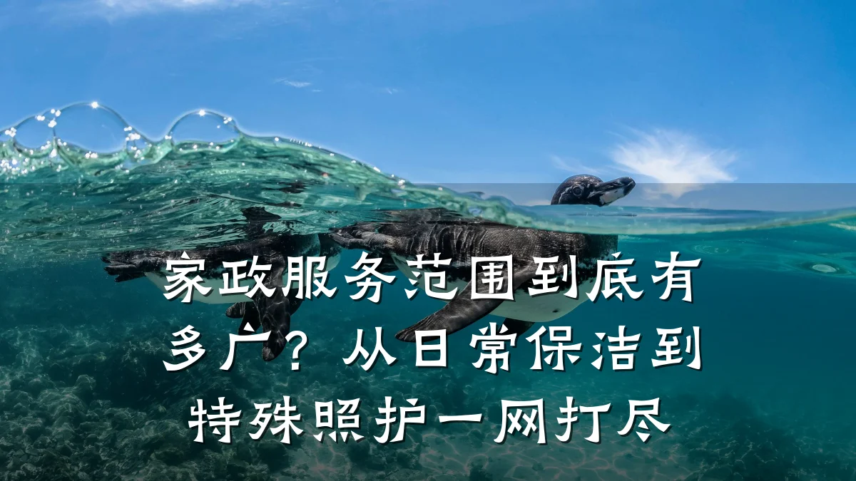 家政服务范围到底有多广?从日常保洁到特殊照护一网打尽