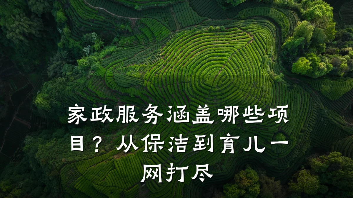 家政服务涵盖哪些项目?从保洁到育儿一网打尽
