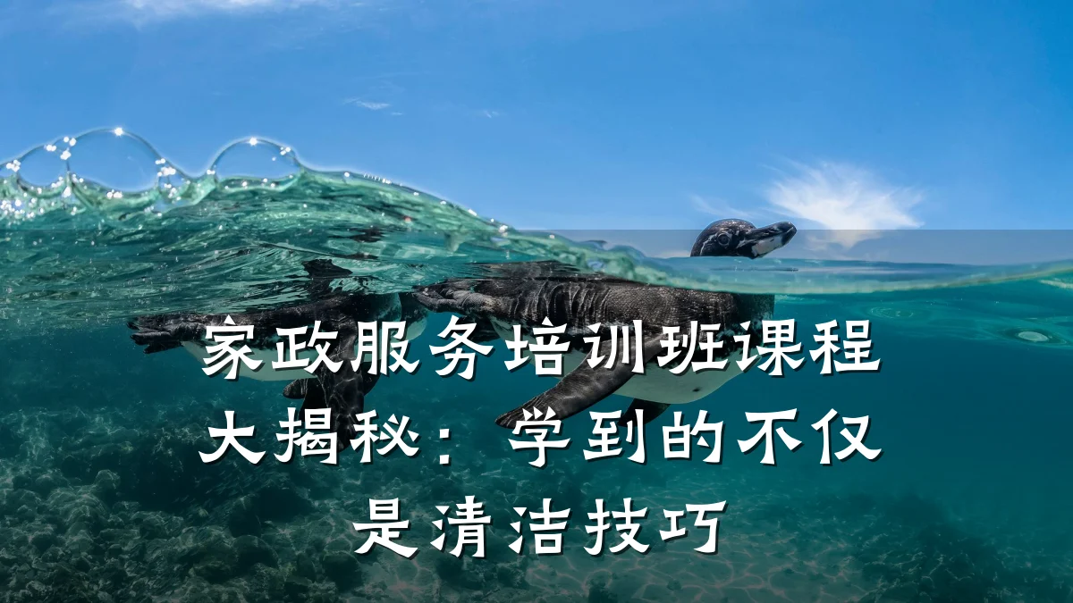 家政服务培训班课程大揭秘:学到的不仅是清洁技巧