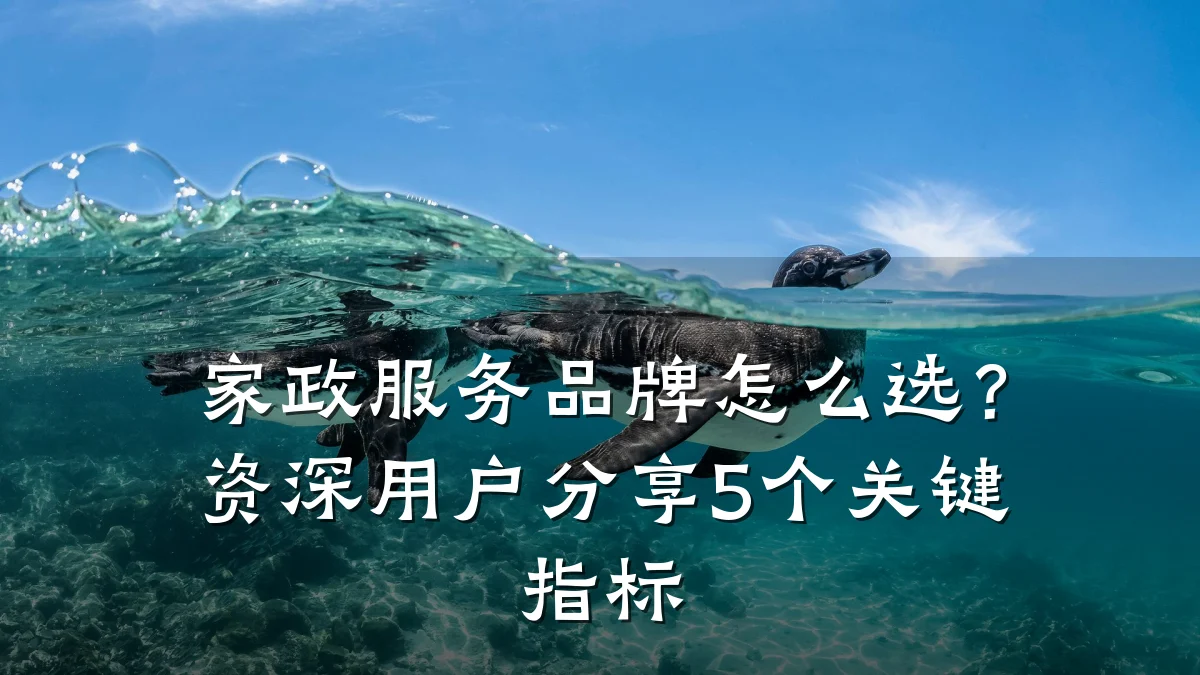 家政服务品牌怎么选？资深用户分享5个关键指标