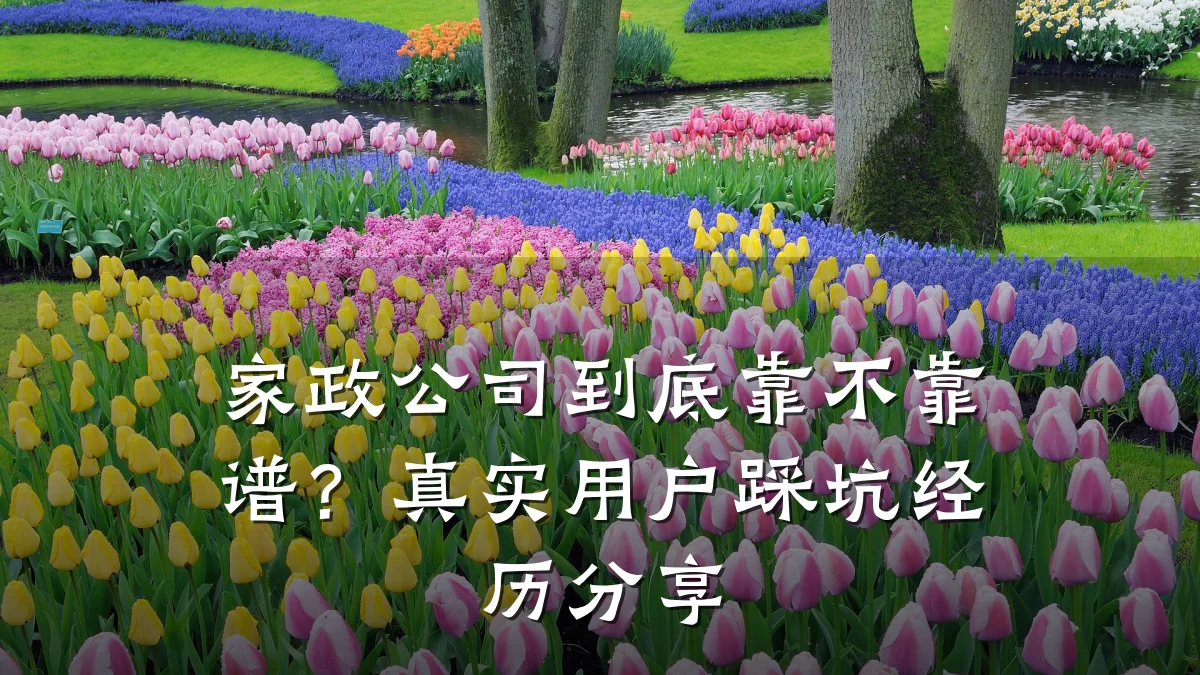 家政公司到底靠不靠谱？真实用户踩坑经历分享