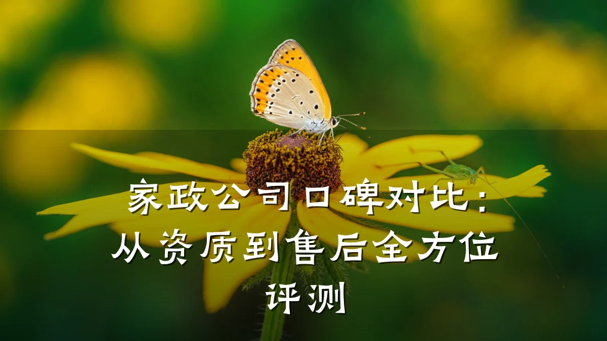 家政公司口碑对比：从资质到售后全方位评测