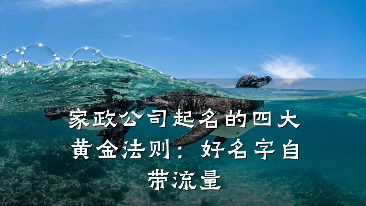 家政公司起名的四大黄金法则:好名字自带流量