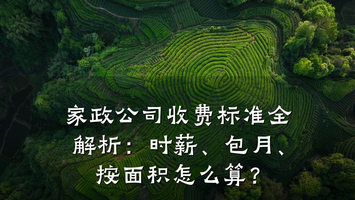 家政公司收费标准全解析：时薪、包月、按面积怎么算？