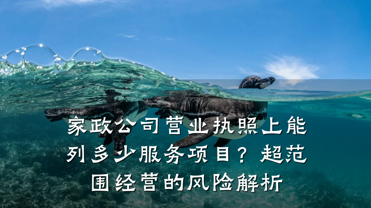 家政公司营业执照上能列多少服务项目?超范围经营的风险解析
