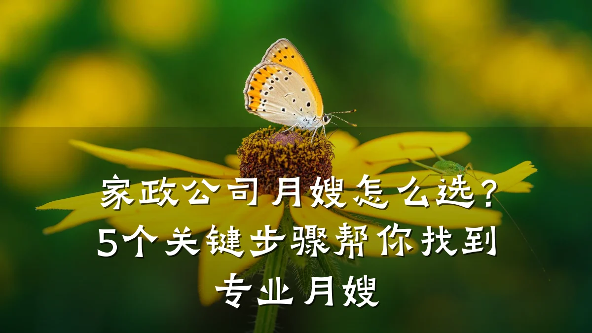 家政公司月嫂怎么选？5个关键步骤帮你找到专业月嫂