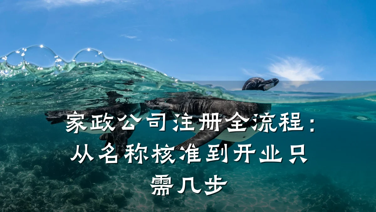 家政公司注册全流程:从名称核准到开业只需几步