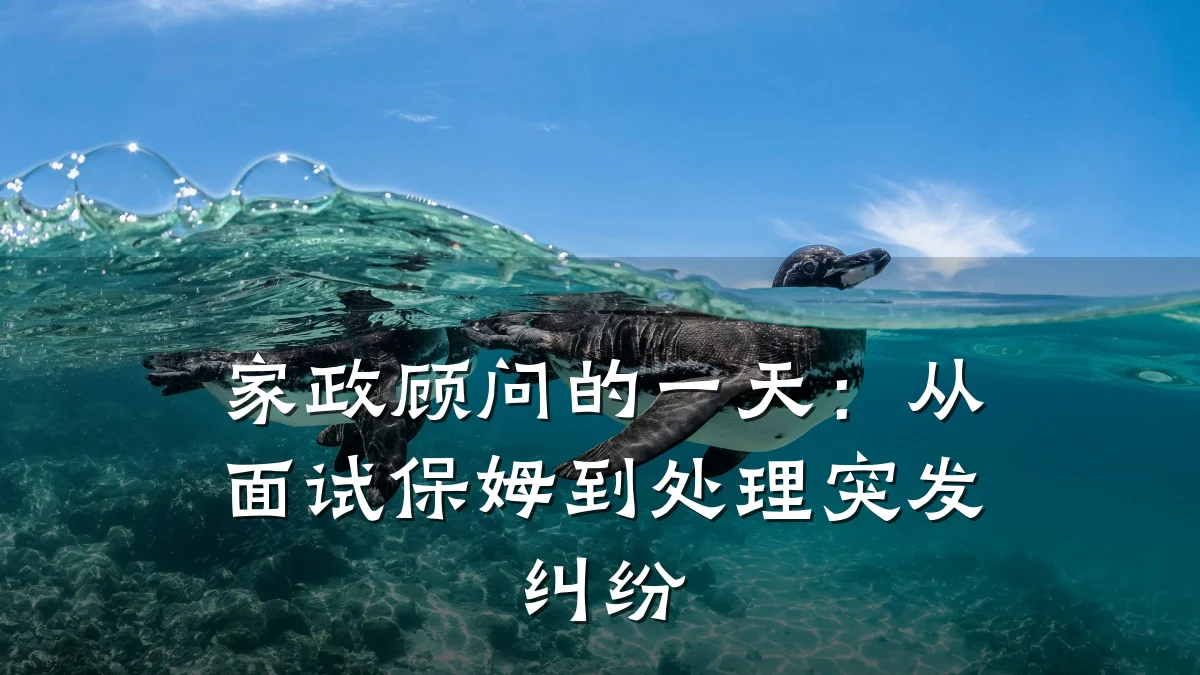 家政顾问的一天:从面试保姆到处理突发纠纷