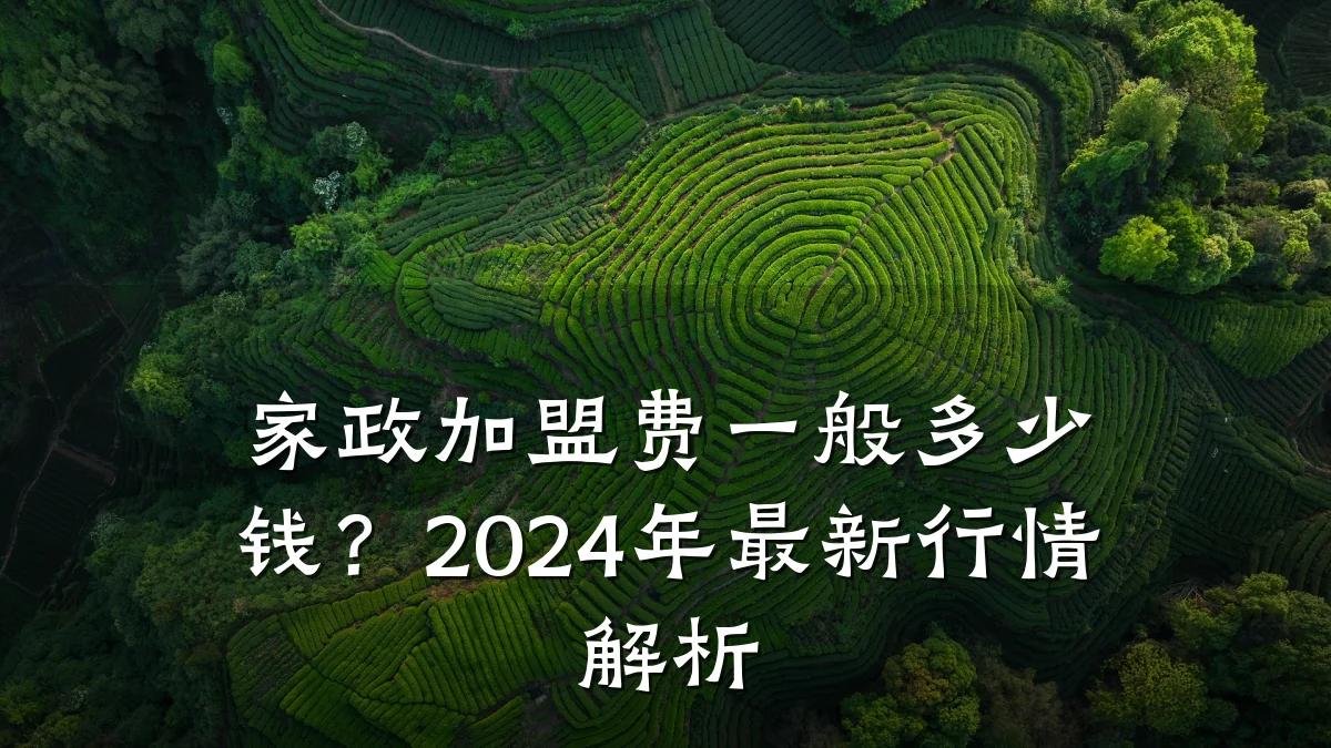 家政加盟费一般多少钱?2024年最新行情解析
