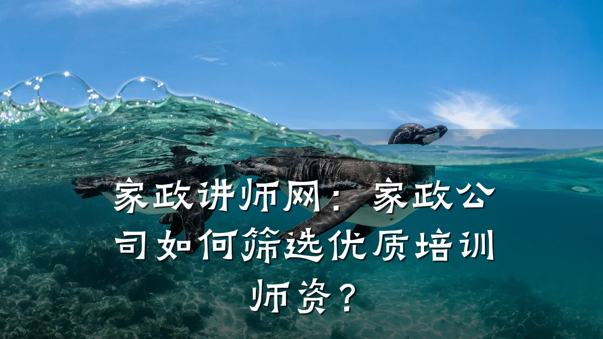 家政讲师网:家政公司如何筛选优质培训师资?