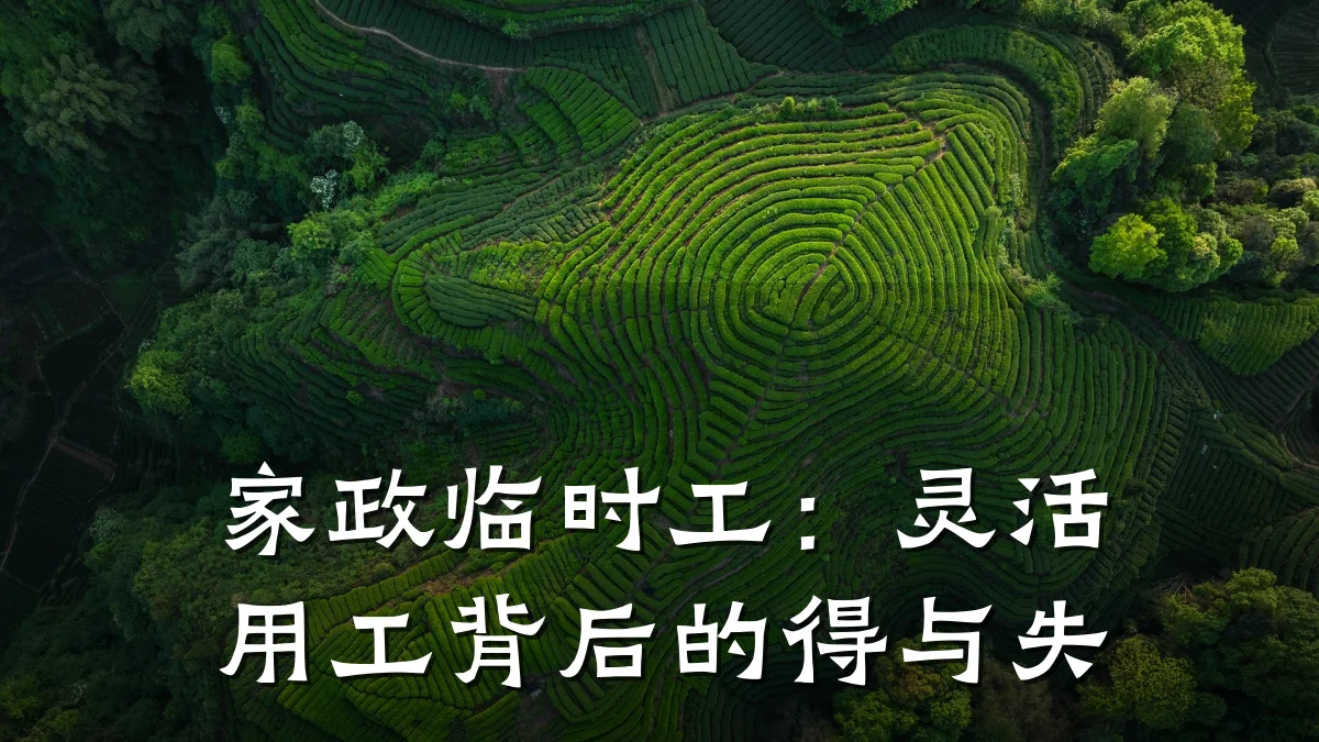 家政临时工:灵活用工背后的得与失